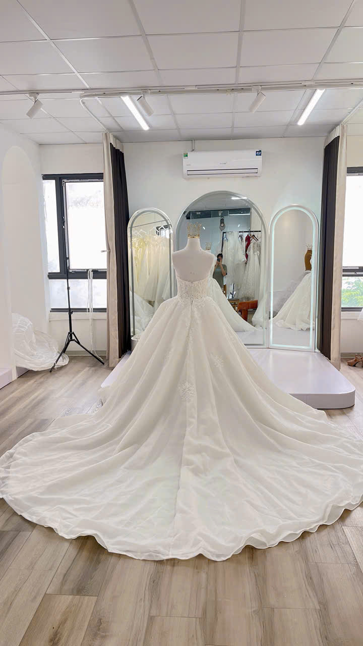 Ball Gown Wedding Dress