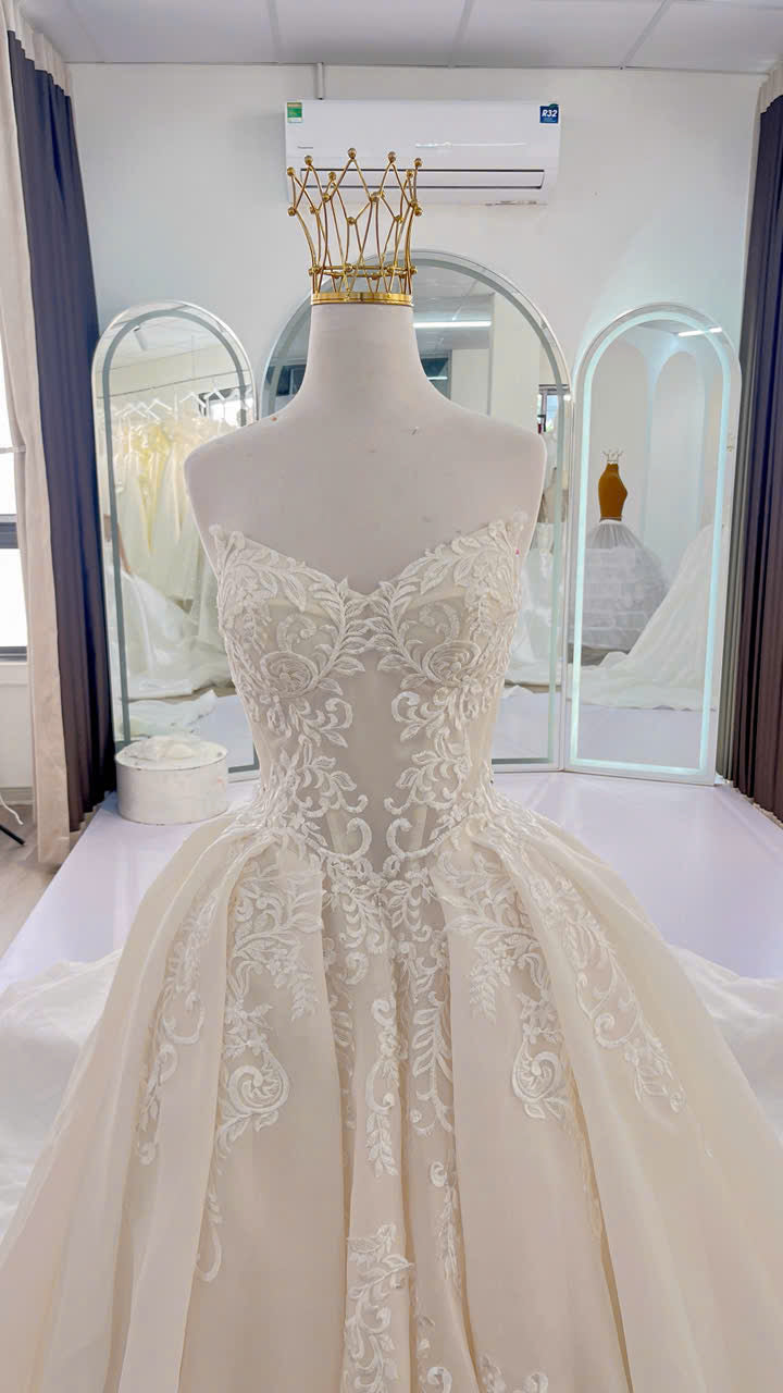 Ball Gown Wedding Dress