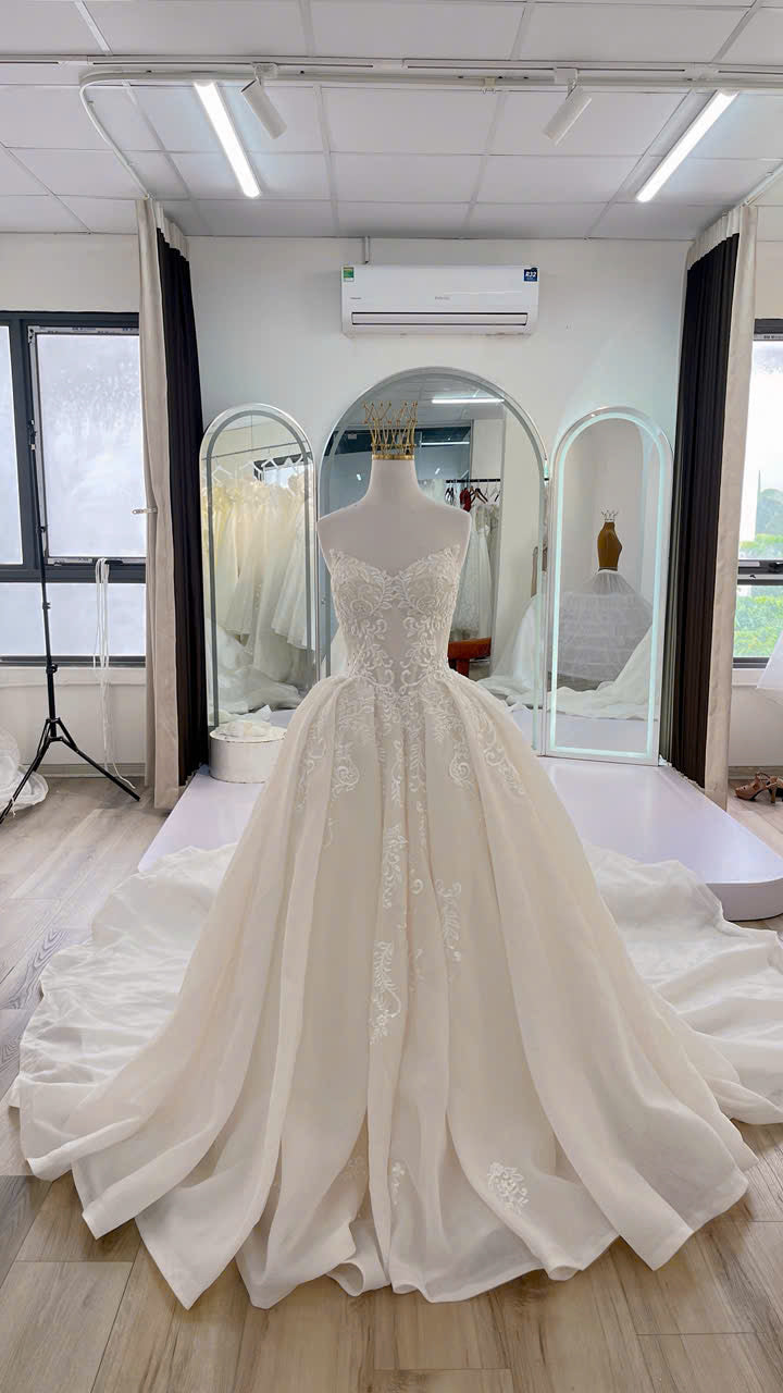 Ball Gown Wedding Dress