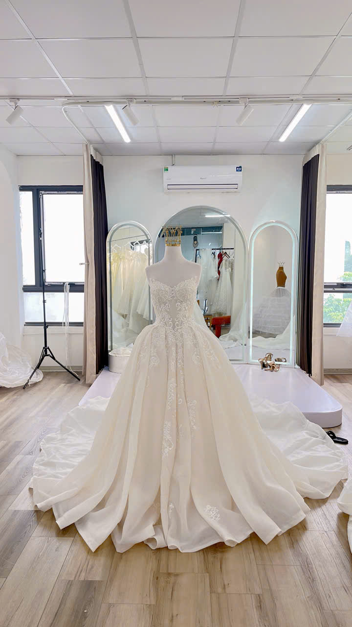 Ball Gown Wedding Dress