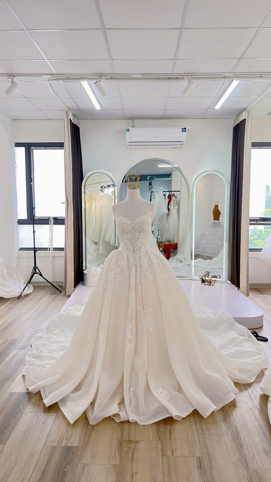 Ball Gown Wedding Dress